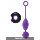 Embrace II Remote control egg