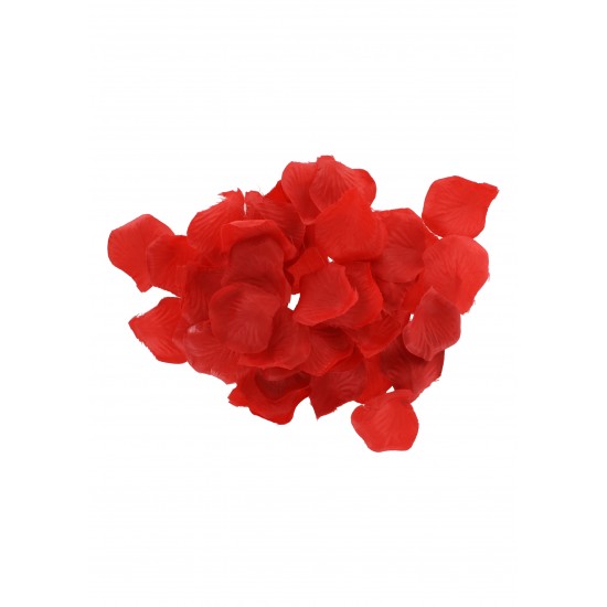 Lovetoy Starter Kit Lovetoy Starter Kit