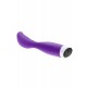 Bird Of Paradise XL Vibe Bird Of Paradise XL Vibe