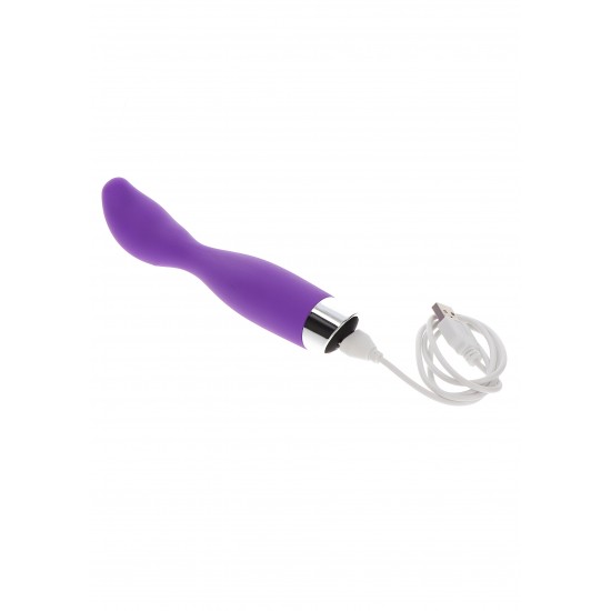 Bird Of Paradise XL Vibe Bird Of Paradise XL Vibe