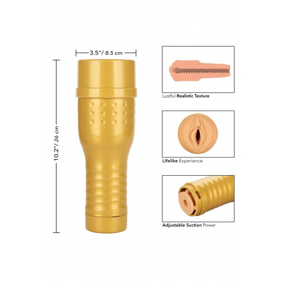 PRIVATE Personal Trainer Tube