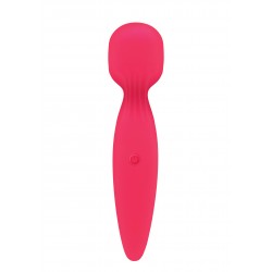 Vaginal Massager