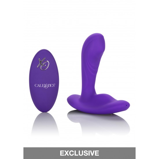 Remote Pinpoint Pleaser Remote Pinpoint Pleaser
