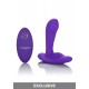 Remote Pinpoint Pleaser Remote Pinpoint Pleaser