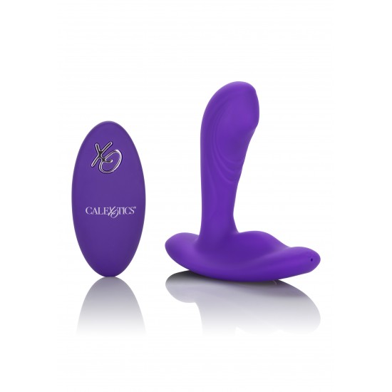Remote Pinpoint Pleaser Remote Pinpoint Pleaser