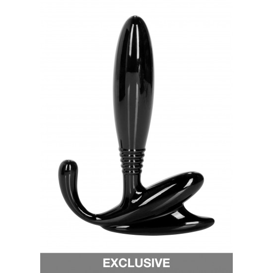 Prostate Probe Prostate Probe