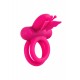 Butterfly Dual Ring