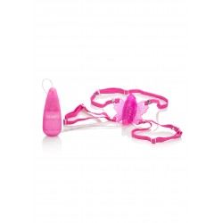 The Original Venus Butterfly