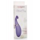 Rechargeable Clitoral Pump