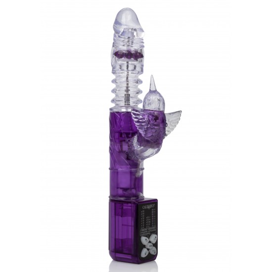Endless Pleasure Endless Pleasure