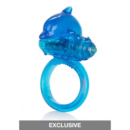 One Touch Dolphin