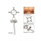 4-Point Nipple Press W Bells