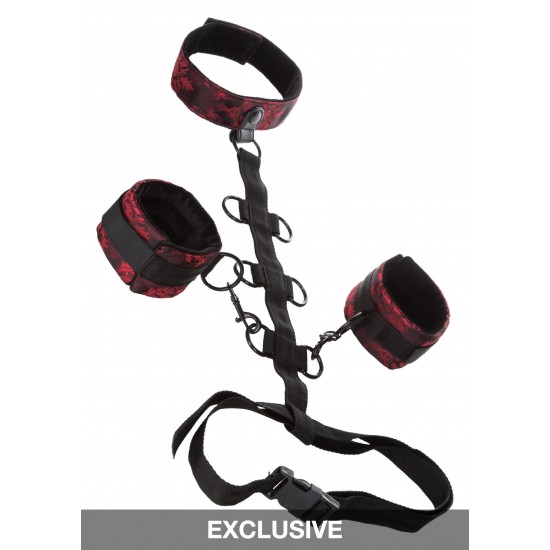 Scandal Collar Body Restraint