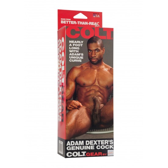 COLT Adam Dexter Cock