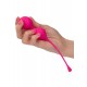 Kegel Training 2 Pcs