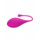 Kegel Training 5 Pcs