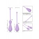 Weighted Kegel Exercisers Set