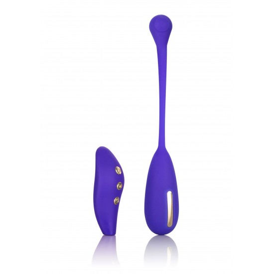 Estim Remote Kegel Exerciser Estim Remote Kegel Exerciser