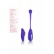Estim Remote Kegel Exerciser Estim Remote Kegel Exerciser