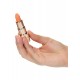 Hide & Play Lipstick Recharge