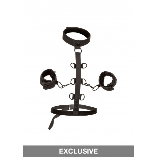 Boundless Collar Restraint