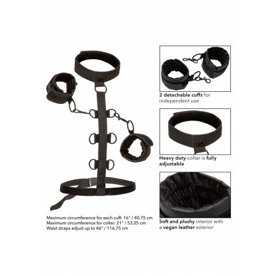 Boundless Collar Restraint