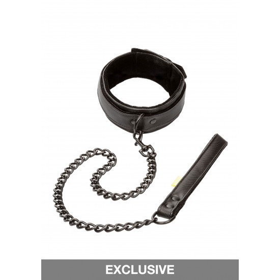 Boundless Collar & Leash Boundless Collar & Leash