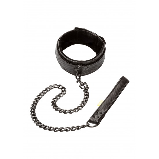 Boundless Collar & Leash Boundless Collar & Leash