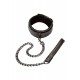 Boundless Collar & Leash Boundless Collar & Leash