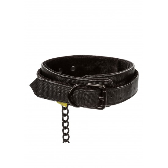 Boundless Collar & Leash Boundless Collar & Leash