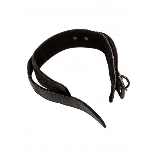 Boundless Collar & Leash Boundless Collar & Leash