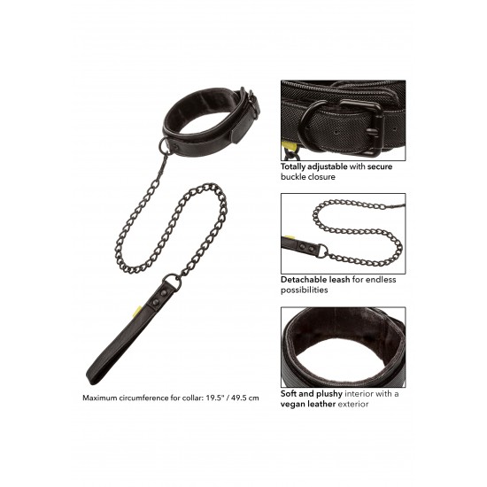 Boundless Collar & Leash Boundless Collar & Leash