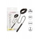Boundless Collar & Leash Boundless Collar & Leash