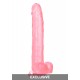 Queen Size Dong 10 Inch