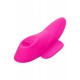Remote Flicker Panty Teaser Remote Flicker Panty Teaser