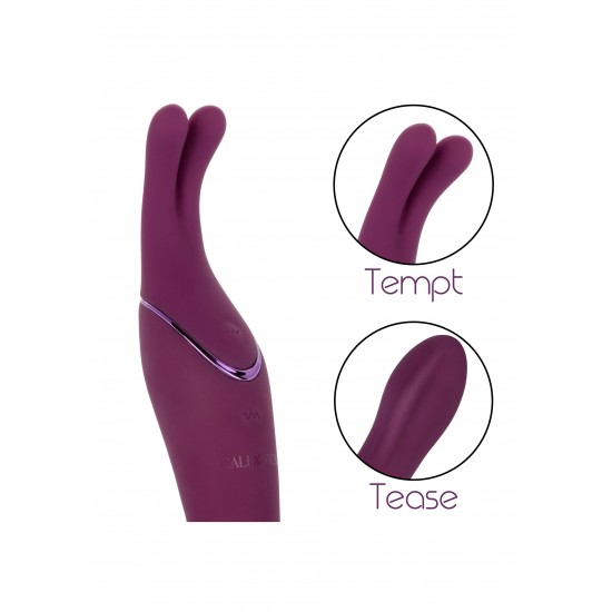 Tempt And Tease Sass