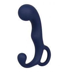 Viceroy Agility Probe