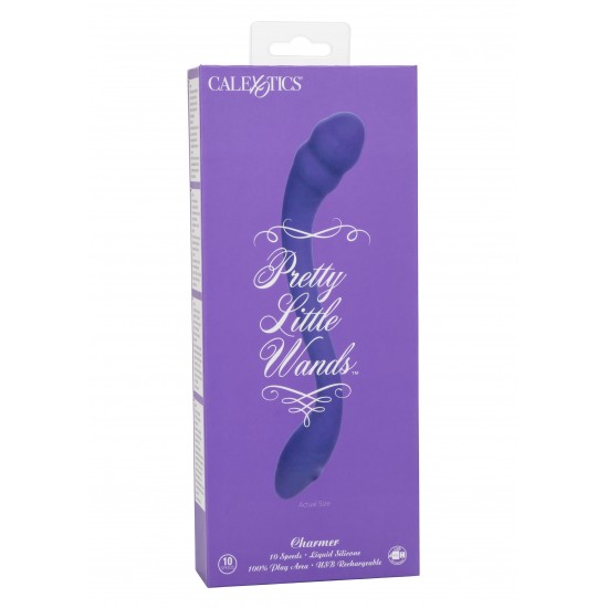 Pretty Little Wands Charmer
