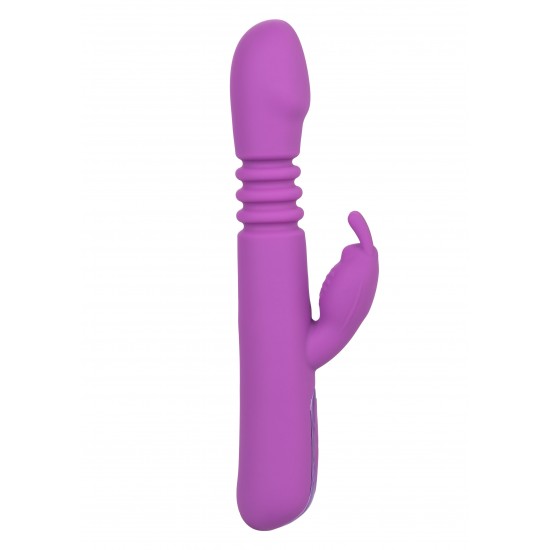Elite Thrusting Rabbit Elite Thrusting Rabbit