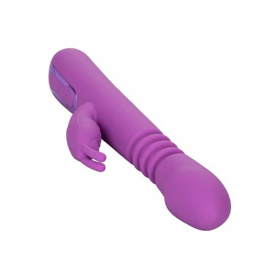 Elite Thrusting Rabbit Elite Thrusting Rabbit