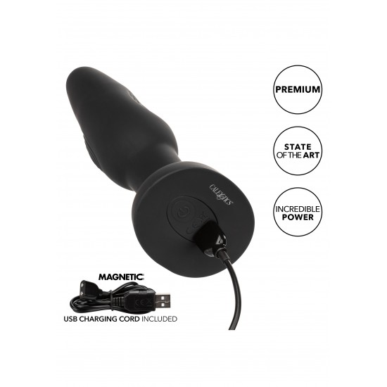 Bionic Dual Pulsating Probe Bionic Dual Pulsating Probe