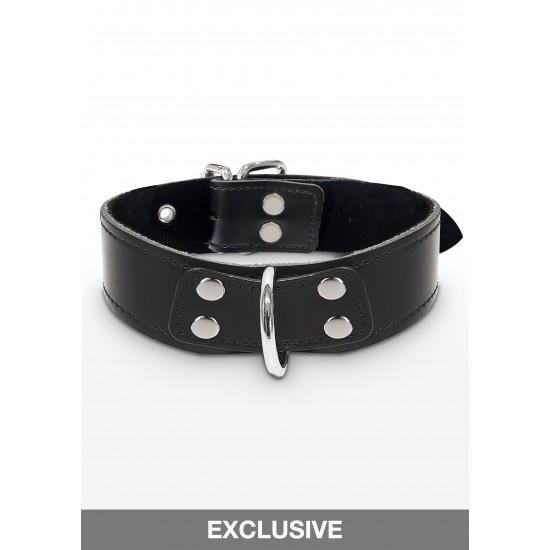 Elegant D-Ring Collar