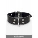 Elegant D-Ring Collar