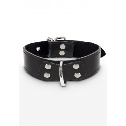Elegant D-Ring Collar