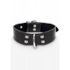 Elegant D-Ring Collar