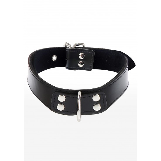 Elegant D-Ring Collar