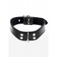 Elegant D-Ring Collar
