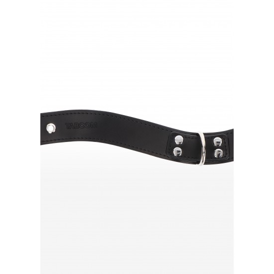 Elegant D-Ring Collar