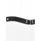 Elegant D-Ring Collar
