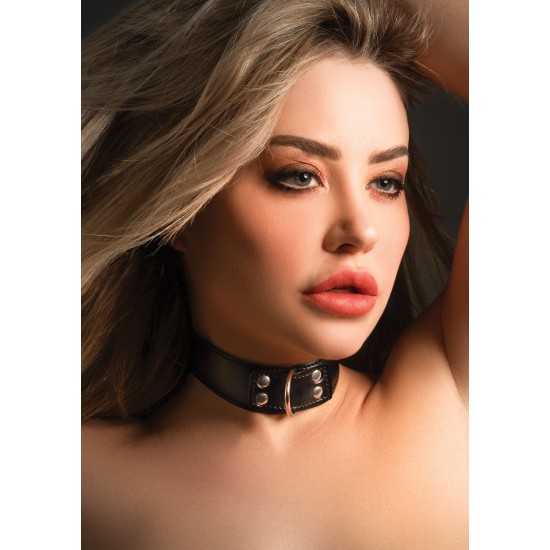 Elegant D-Ring Collar